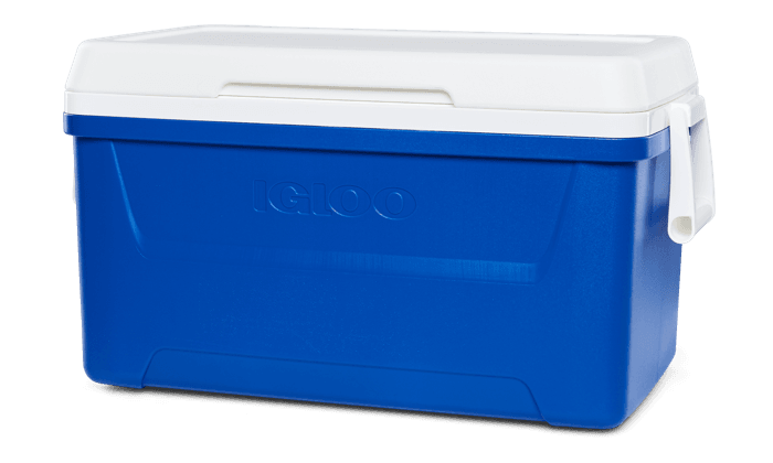IGLOO BOUTEILLE REUTILISABLE FROID/CHAUD STAINLESS BLEU 36 OZ